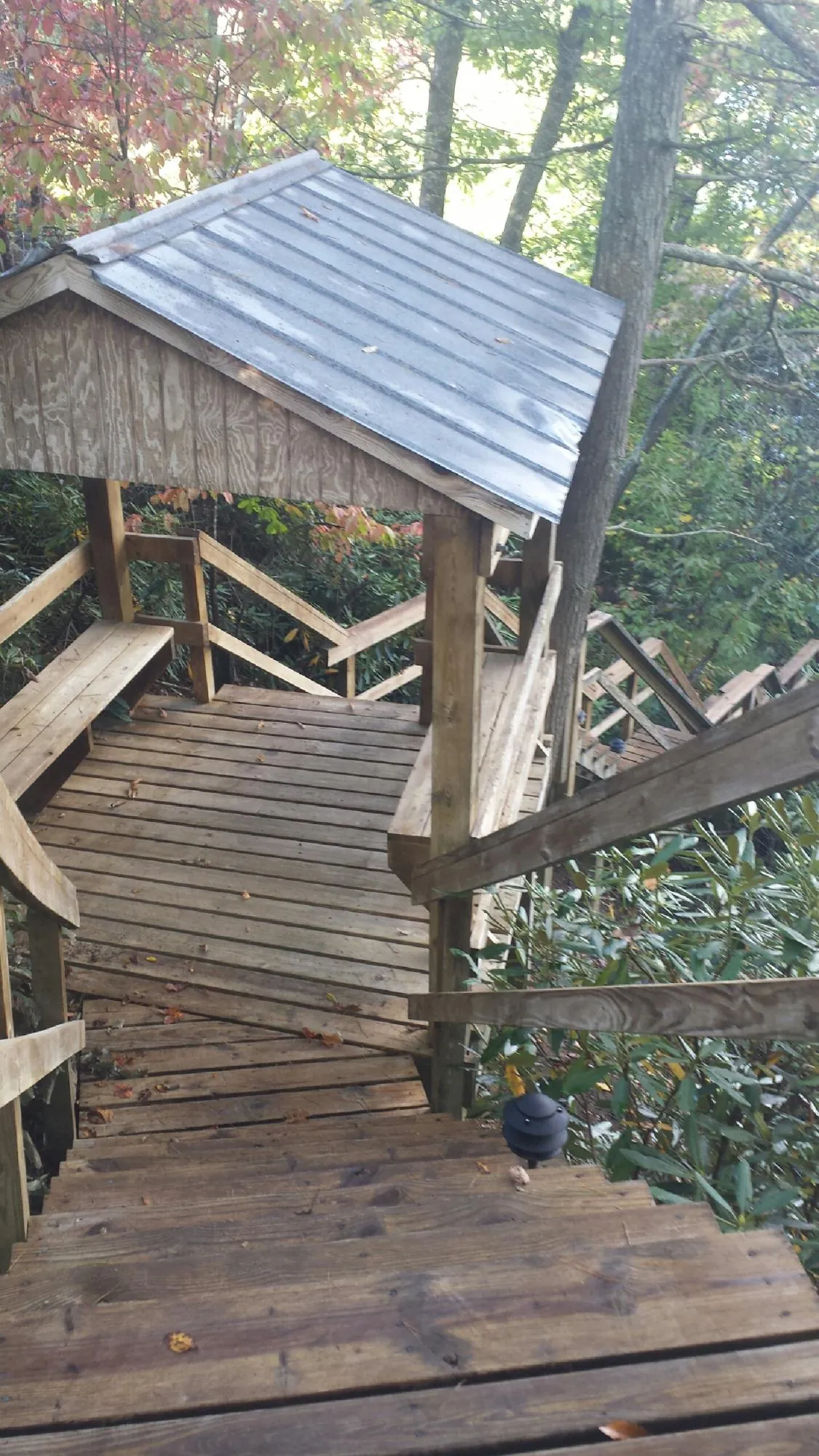 Metal roofed shelter over wooden steps on a wooded walkway — Skylight Repair & Installation work by our crew in Metaline